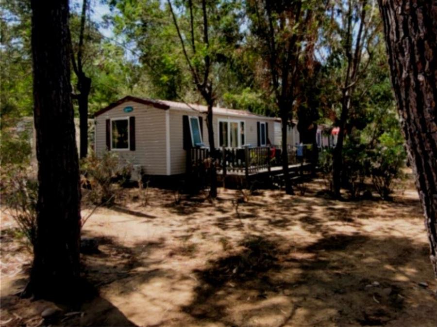 Camping Pas Cher vous présente avec son site Officiel campingpascher.fr, le Camping U Pezzo classé 2 étoiles, situé sur la commune de Saint Florent dans le département Corse Du Nord (Corse) en France. Le camping U Pezzo vous propose un hébergement de type mobil-home avec climatisation. L'établissement vous propose 7 autres types d'hébergements. Découvrez tous nos séjours à petits prix dans la commune et aux alentours de Saint Florent du département : Corse Du Nord (Corse). Les Avis clients pour le Camping U Pezzo sont excellents avec une note moyenne de 8 sur 10. Mer, Aire de jeux enfants, Canoë-kayak, Court de tennis, Ping-pong, Piscine, Plongée, Pétanque, Randonnée, Épicerie,... En savoir plus : cliquez-ICI.