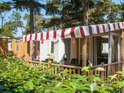 Cliquez pour découvrir toutes les photos de l'HÉBERGEMENT ! mobil-home - Les Cyprès photo 2