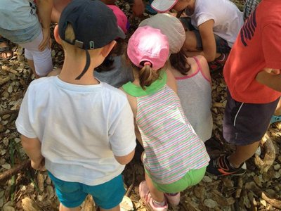 camping Les Cyprès photo 27