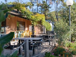 Camping Pas Cher vous présente avec son site Officiel campingpascher.fr, le Camping Les Cyprès classé 4 étoiles, situé sur la commune de Saint Gilles Croix De Vie dans le département Vendée (Pays De La Loire) en France. Le camping Les Cyprès vous propose un hébergement de type tente en toile et bois de 21 m² pour 1 personne (télévision). L'établissement vous propose 14 autres types d'hébergements. Découvrez tous nos séjours à petits prix dans la commune et aux alentours de Saint Gilles Croix De Vie du département : Vendée (Pays De La Loire). Les Avis clients pour le Camping Les Cyprès sont de 7 sur 10. Piscine couverte, Piscine extérieure, Animations familiales, Club enfants, Aire de jeux enfants, Canoë-kayak, Centre équestre, Court de tennis, Golf, Ping-pong, Pétanque, Structure gonflable enfants, Terrain multisports, Bar, Dépôt de pain, Restaurant, Snack/Bar, Supermarché, Épicerie,... En savoir plus : cliquez-ICI.