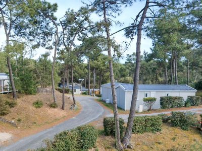 Cliquez pour découvrir toutes les photos de l'ÉTABLISSEMENT ! camping Domaine Des Pins photo 10