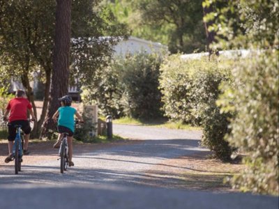 Cliquez pour découvrir toutes les photos de l'ÉTABLISSEMENT ! camping Domaine Des Pins photo 20