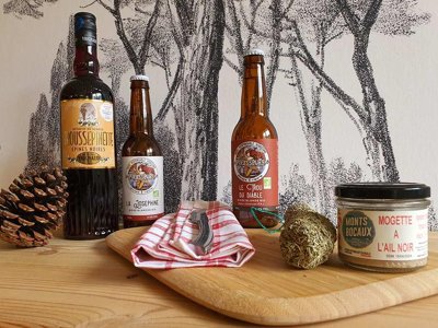 Cliquez pour découvrir toutes les photos de l'ÉTABLISSEMENT ! camping Domaine Des Pins photo 23