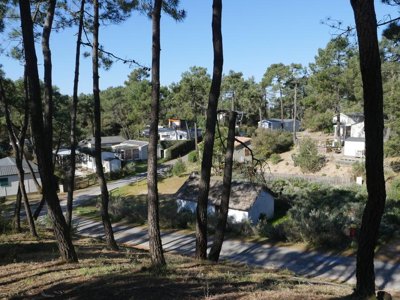 Cliquez pour découvrir toutes les photos de l'ÉTABLISSEMENT ! camping Domaine Des Pins photo 29