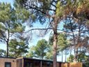 mobil-home - camping Domaine Des Pins photo 1