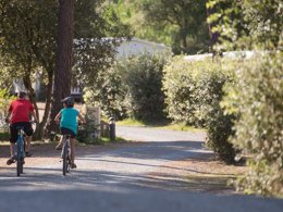 Camping Pas Cher vous présente avec son site Officiel campingpascher.fr, le Camping Domaine Des Pins classé 4 étoiles, situé sur la commune de Saint Hilaire De Riez dans le département Vendée (Pays De La Loire) en France. Le camping Domaine Des Pins, vous présente un hébergement de type studio de 19 m² pour 2 personnes et télévision. Le camping Domaine Des Pins vous propose du lundi 02 février au lundi 09 février 2026 pour 7 nuits à 146.4€. Cette location propose 79 dates différentes pour réserver votre séjour. Découvrez également les 32 autres gammes d'hébergements du camping. Les Avis clients pour le Camping Domaine Des Pins sont de 7 sur 10. Piscine couverte, Piscine extérieure, Animations familiales, Club ados, Club enfants, Aire de jeux enfants, Baby-foot, Canoë-kayak, Centre équestre, Cyclisme, Golf, Ping-pong, Plongée, Pétanque, Randonnée, Surf, Voile, Bar, Plats à emporter,... En savoir plus : cliquez-ICI.