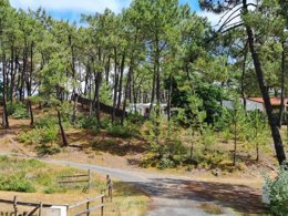 Camping Pas Cher vous présente avec son site Officiel campingpascher.fr, le Camping Domaine Des Pins classé 4 étoiles, situé sur la commune de Saint Hilaire De Riez dans le département Vendée (Pays De La Loire) en France. Le camping Domaine Des Pins vous propose un hébergement de type appartement de 40 m² pour 5 personnes (télévision). L'établissement vous propose 32 autres types d'hébergements. Découvrez tous nos séjours à petits prix dans la commune et aux alentours de Saint Hilaire De Riez du département : Vendée (Pays De La Loire). Les Avis clients pour le Camping Domaine Des Pins sont de 7 sur 10. Piscine couverte, Piscine extérieure, Animations familiales, Club ados, Club enfants, Aire de jeux enfants, Baby-foot, Canoë-kayak, Centre équestre, Cyclisme, Golf, Ping-pong, Plongée, Pétanque, Randonnée, Surf, Voile, Bar, Plats à emporter,... En savoir plus : cliquez-ICI.