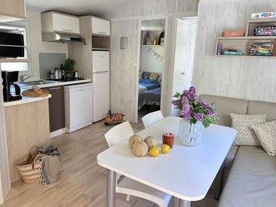 Cliquez pour découvrir toutes les photos de l'HÉBERGEMENT ! mobil-home - Les Cigales photo 6