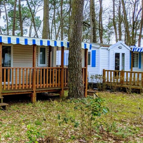 mobilhome - L'Orée Des Pins photo 2