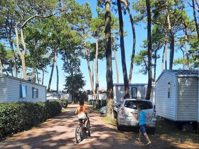 Cliquez pour découvrir toutes les photos de l'ÉTABLISSEMENT ! établissement L'Orée Des Pins photo 20