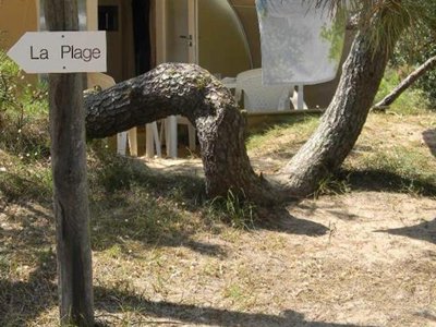 Cliquez pour découvrir toutes les photos de l'HÉBERGEMENT ! hébergement insolite - Mahana By La Pège photo 4