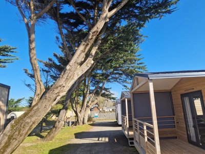 Cliquez pour découvrir toutes les photos de l'HÉBERGEMENT ! mobil-home - Mahana By La Pège photo 15