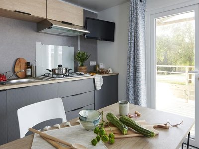 Cliquez pour découvrir toutes les photos de l'HÉBERGEMENT ! mobil-home - Mahana By La Pège photo 2