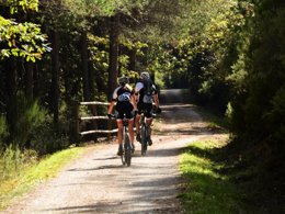 Camping Pas Cher vous présente avec son site Officiel campingpascher.fr, le Établissement La Parée Du Both, situé sur la commune de Saint Hilaire De Riez dans le département Vendée (Pays De La Loire) en France. L'établissement La Parée Du Both vous propose un hébergement de type lodge de 26 m². L'établissement vous propose 16 autres types d'hébergements. Découvrez tous nos séjours à petits prix dans la commune et aux alentours de Saint Hilaire De Riez du département : Vendée (Pays De La Loire).... En savoir plus : cliquez-ICI.