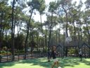 camping La Plage De Riez photo 10