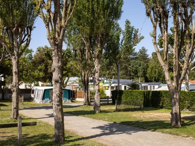 Cliquez pour découvrir toutes les photos de l'ÉTABLISSEMENT ! camping Domaine Des Salins photo 13