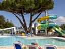 Camping Pas Cher vous présente avec son site Officiel campingpascher.fr, le Camping Domaine Des Salins classé 4 étoiles, situé sur la commune de Saint Hilaire De Riez dans le département Vendée (Pays De La Loire) en France. Le camping Domaine Des Salins vous propose un hébergement de type mobil-home de 30 m² (télévision). L'établissement vous propose 6 autres types d'hébergements. Découvrez tous nos séjours à petits prix dans la commune et aux alentours de Saint Hilaire De Riez du département : Vendée (Pays De La Loire). Les Avis clients pour le Camping Domaine Des Salins sont excellents avec une note moyenne de 8 sur 10. Piscine couverte, Piscine extérieure, Animations familiales, Club ados, Club enfants, Aire de jeux enfants, Canoë-kayak, Centre équestre, Court de tennis, Cyclisme, Golf, Parcours sportif, Ping-pong, Pétanque, Randonnée, Salle de jeux vidéo, Structure gonflable enfants, Terrain de badminton, Terrain multisports, Trampoline, Bar, Dépôt de pain, Plats à emporter, Snack/Bar, Supermarché, Épicerie,... En savoir plus : cliquez-ICI.