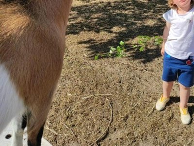 camping Ushuaïa Villages La Conge photo 15