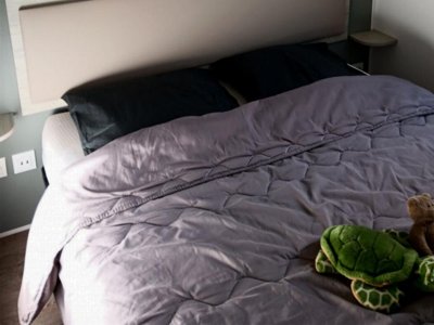 Cliquez pour découvrir toutes les photos de l'HÉBERGEMENT ! mobil-home - La Prévoté photo 12