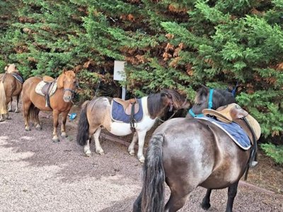 Cliquez pour découvrir toutes les photos de l'ÉTABLISSEMENT ! camping La Prévoté photo 2