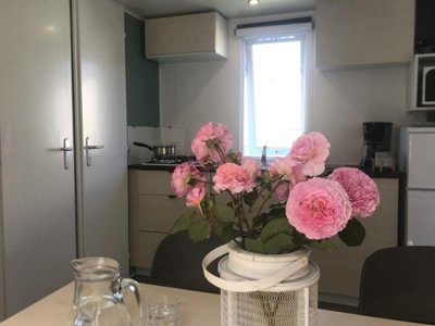 Cliquez pour découvrir toutes les photos de l'HÉBERGEMENT ! mobil-home - L' International Erromardie photo 5