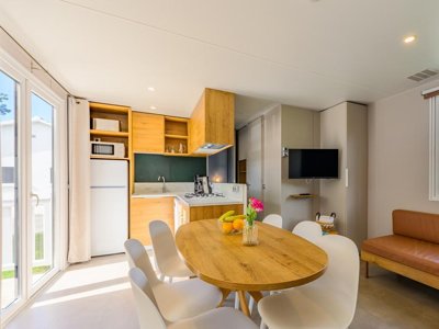 mobil-home - L'Abri Des Pins photo 3