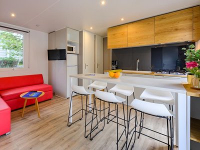 Cliquez pour découvrir toutes les photos de l'HÉBERGEMENT ! mobil-home - L'Abri Des Pins photo 3