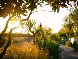 Camping Pas Cher vous présente avec son site Officiel campingpascher.fr, le Camping L'Abri Des Pins classé 4 étoiles, situé sur la commune de Saint Jean De Monts dans le département Vendée (Pays De La Loire) en France. Le camping L'Abri Des Pins, vous présente un hébergement de type chalet de 35 m² pour 4 personnes et télévision. Le camping L'Abri Des Pins vous propose du vendredi 01 mai au vendredi 08 mai 2026, en promotion à -28% pour 7 nuits à 175 € au lieu de 245,0 € soit une Économie de 70 €. Cette location propose 76 dates différentes pour réserver votre séjour. Découvrez également les 22 autres gammes d'hébergements du camping. Les Avis clients pour le Camping L'Abri Des Pins sont excellents avec une note moyenne de 8 sur 10. Parc aquatique, Piscine couverte, Piscine extérieure, Club enfants, Aire de jeux enfants, Aire de jeux forestière, Baby-foot, Centre équestre, Court de tennis, Cyclisme, Golf, Ping-pong, Piscine, Pétanque, Randonnée, Salle de fitness, Sports nautiques, Terrain multisports, Bar, Bureau de tabac, Dépôt de pain, Plats à emporter, Restaurant, Station-service, Supermarché, Épicerie,... En savoir plus : cliquez-ICI.