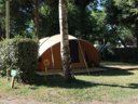 tente - camping Le Both D'Orouet photo 10