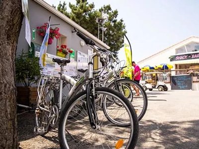 Cliquez pour découvrir toutes les photos de l'ÉTABLISSEMENT ! établissement La Parée Du Jonc photo 26