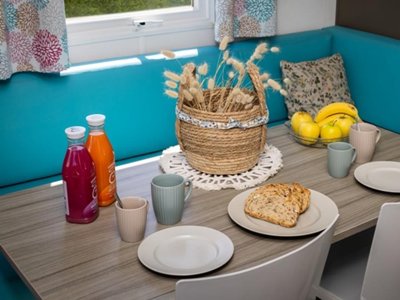 Cliquez pour découvrir toutes les photos de l'HÉBERGEMENT ! mobil-home - La Prairie photo 10