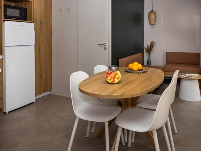 Cliquez pour découvrir toutes les photos de l'HÉBERGEMENT ! mobil-home - La Prairie photo 2