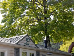 Camping Pas Cher vous présente avec son site Officiel campingpascher.fr, le Camping Flower La Davière Plage classé 4 étoiles, situé sur la commune de Saint Jean De Monts dans le département Vendée (Pays De La Loire) en France. Le camping Flower La Davière Plage vous propose un hébergement de type mobil-home de 35 m² pour 2 personnes avec climatisation (télévision). L'établissement vous propose 13 autres types d'hébergements. Découvrez tous nos séjours à petits prix dans la commune et aux alentours de Saint Jean De Monts du département : Vendée (Pays De La Loire). Les Avis clients pour le Camping Flower La Davière Plage sont excellents avec une note moyenne de 8 sur 10. Mer, Piscine chauffée, Piscine extérieure, Animations familiales, Club enfants, Aire de jeux enfants, Baby-foot, Canoë-kayak, Centre équestre, Cyclisme, Golf, Paddle, Ping-pong, Piscine, Plongée, Pétanque, Randonnée, Salle de fitness, Salle de jeux vidéo, Surf, Terrain de football, Terrain multisports, Voile, Bar, Dépôt de pain, Snack/Bar, Épicerie,... En savoir plus : cliquez-ICI.