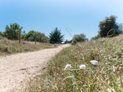 Cliquez pour découvrir toutes les photos de l'ÉTABLISSEMENT ! camping Côté Plage photo 20
