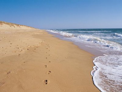 établissement Le California photo 27