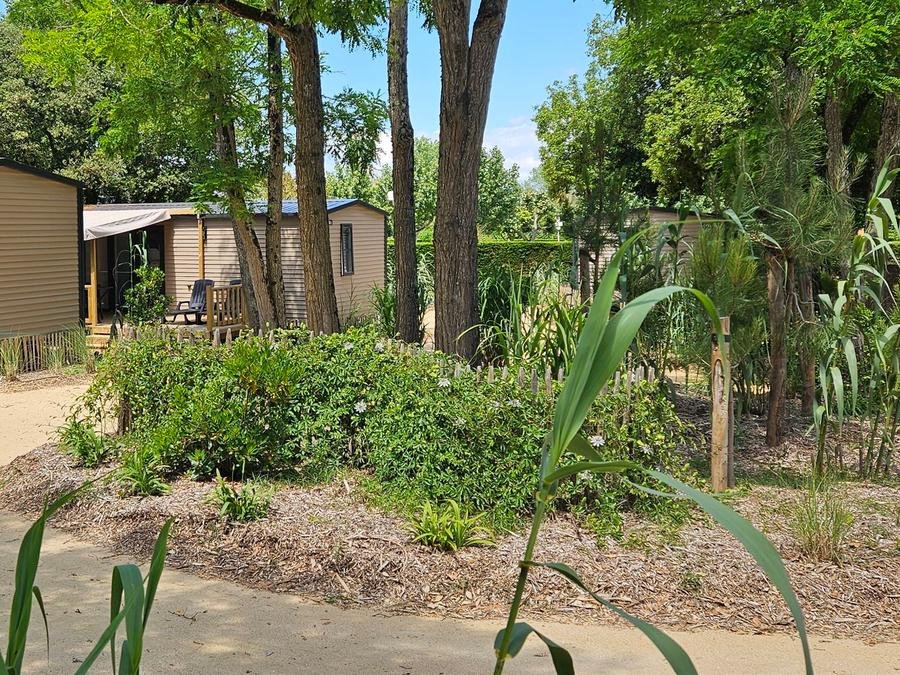 Camping Pas Cher vous présente avec son site Officiel campingpascher.fr, le Camping Le Bois Verdon classé 4 étoiles, situé sur la commune de Saint Jean De Monts dans le département Vendée (Pays De La Loire) en France. Le camping Le Bois Verdon vous propose un hébergement de type mobil-home de 32 m² pour 4 personnes (télévision). Cet hébergement propose plus de 20 dates différentes pour réserver ! Pour dévouvrir la période la moins chère, consultez la rubrique 'Tarifs' et sélectionnez votre mois de départ. L'établissement vous propose 8 autres types d'hébergements. Découvrez tous nos séjours à petits prix dans la commune et aux alentours de Saint Jean De Monts du département : Vendée (Pays De La Loire). Les Avis clients pour le Camping Le Bois Verdon sont excellents avec une note moyenne de 8 sur 10. Piscine chauffée, Piscine couverte, Aire de jeux enfants, Canoë-kayak, Centre équestre, Court de tennis, Cyclisme, Paddle, Ping-pong, Planche à voile, Pétanque, Trampoline, kiteSurf, Bar, Boulangerie, Bureau de tabac, Dépôt de pain, Food truck, Restaurant, Supermarché, Épicerie,... En savoir plus : cliquez-ICI.