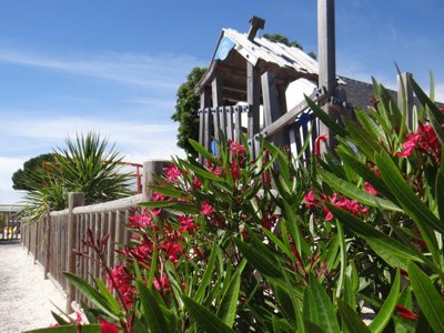 camping Le Bois Verdon photo 11
