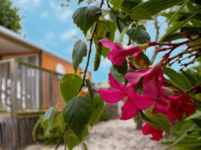 mobil-home - Le Bois Verdon photo 8