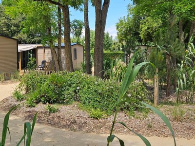 camping Le Bois Verdon photo 16