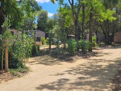 camping Le Bois Verdon photo 17