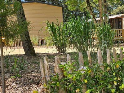 Cliquez pour découvrir toutes les photos de l'HÉBERGEMENT ! mobil-home - Le Bois Verdon photo 13