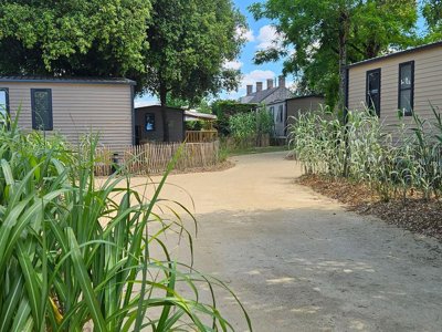 Cliquez pour découvrir toutes les photos de l'HÉBERGEMENT ! mobil-home - Le Bois Verdon photo 5