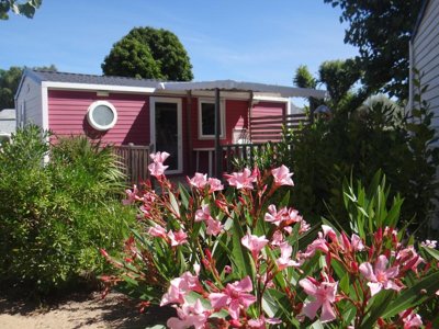 camping Le Bois Verdon photo 30