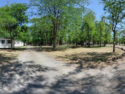 camping Mas Sud Ardèche photo 5