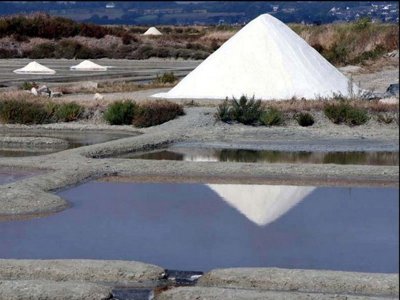 camping Fleur De Briere photo 4