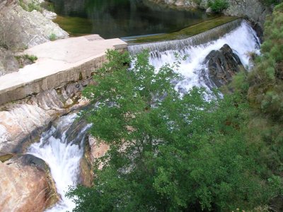 Cliquez pour découvrir toutes les photos de l'ÉTABLISSEMENT ! camping La Dourbie photo 23