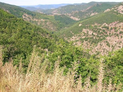 Cliquez pour découvrir toutes les photos de l'ÉTABLISSEMENT ! camping La Dourbie photo 25