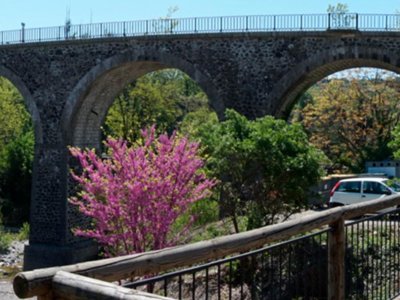 camping Les Arches photo 19