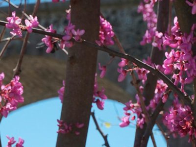 camping Les Arches photo 20