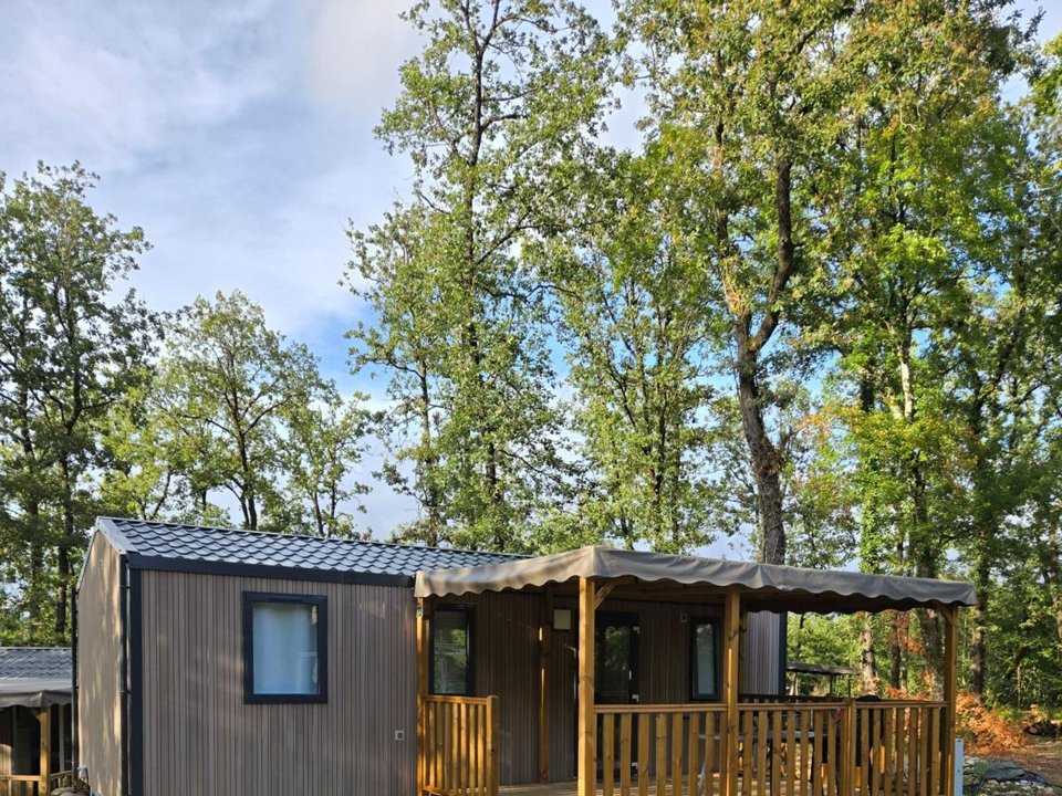 Camping Pas Cher vous présente avec son site Officiel campingpascher.fr, le Camping Le Lizot classé 3 étoiles, situé sur la commune de Saint Mande Sur Bredoire dans le département Charente-maritime (Poitou Charentes) en France. Le camping Le Lizot vous propose un hébergement de type mobil-home de 38 m² pour 6 personnes. L'établissement vous propose 7 autres types d'hébergements. Découvrez tous nos séjours à petits prix dans la commune et aux alentours de Saint Mande Sur Bredoire du département : Charente-maritime (Poitou Charentes). Les Avis clients pour le Camping Le Lizot sont excellents avec une note moyenne de 8 sur 10. Piscine extérieure, Animations familiales, Aire de jeux enfants, Canoë-kayak, Cyclisme, Ping-pong, Pétanque, Randonnée, Terrain de football, Bar, Dépôt de pain, Restaurant, Supermarché,... En savoir plus : cliquez-ICI.